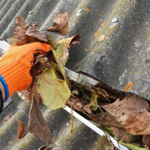 pulling leaves from gutter with gloved hand